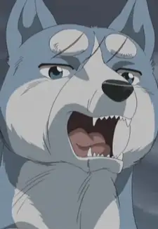 Gin