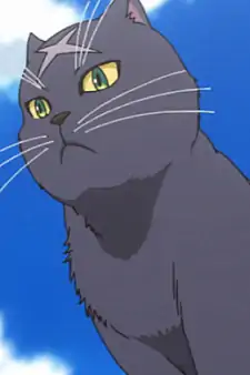 Alpha Cat