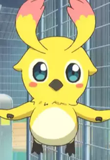 Rappy