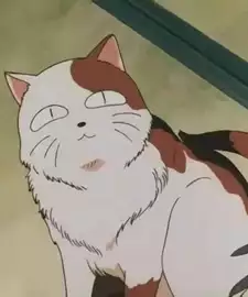 Buyo
