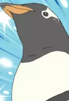 Gentoo Penguin