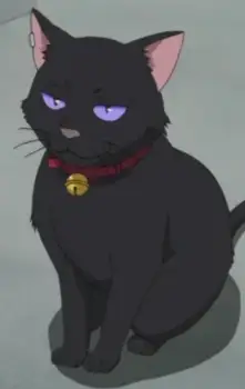Mao