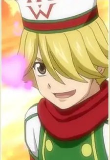 Wonder Chef