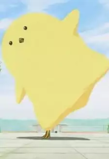 Piyo