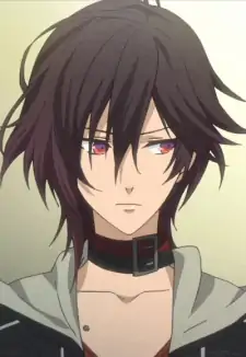 Shin