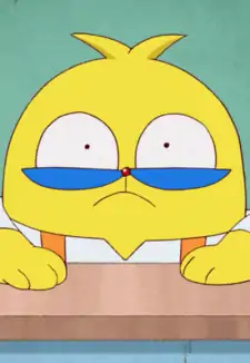 Pascal-sensei