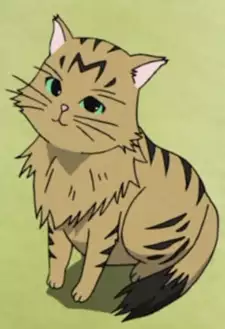 Mesu Nora Neko