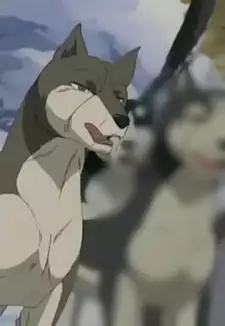 Shintarou