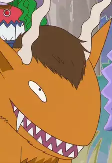 Tora Tora