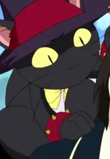 Black Cat