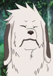 Akamaru