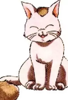 Tama