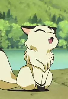 Kirara