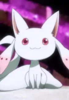 Little Kyuubey