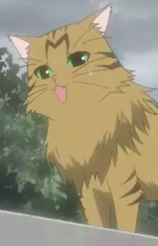 Kumaneko