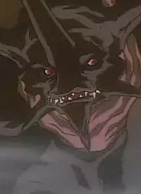 Roki