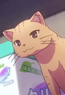 Tsubasa