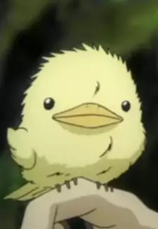Hibird