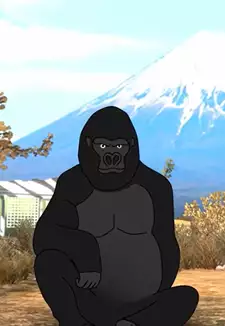 Gorilla