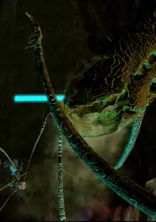 Gravemind