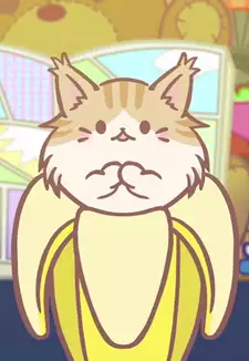 Maine Coon Bananya