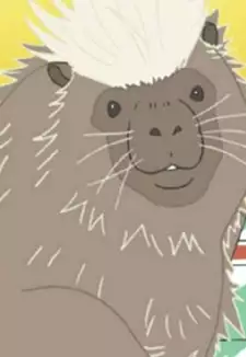 Canada Yamaarashi