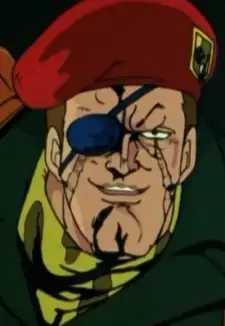 Colonel