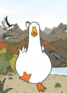 Ahiru