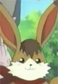Hare