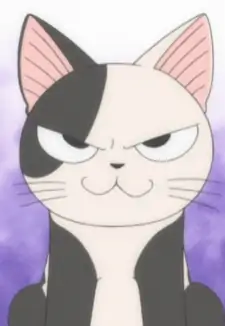 Kocchi
