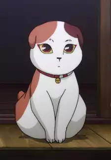 Sunekosuri