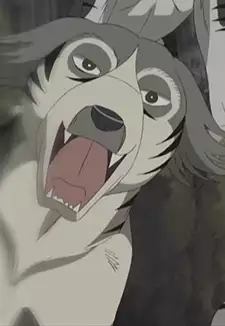 Buru