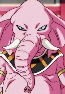 Rumsshi