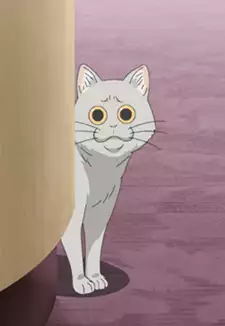 Kuso Cat