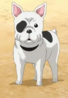 Boo