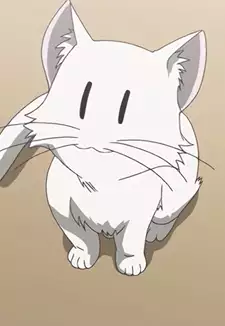 Kotek