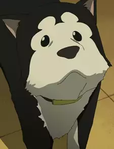 Black Hayate