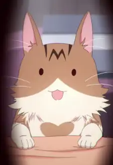 Metako