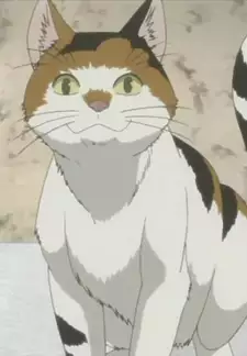 Mike-san