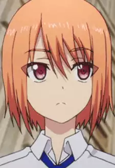 Medoki
