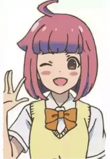 Himeno Toyokawa