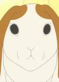 Mi-chan