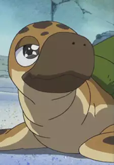 Turtle