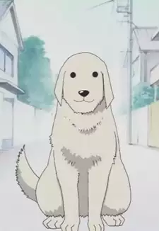 Tadakichi-san