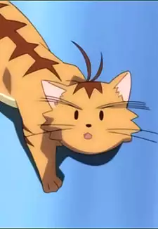 Pinpin