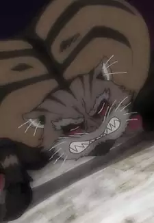 Tsuchigumo