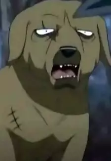 Ned