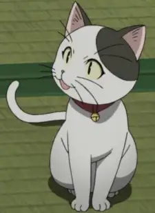 Tama
