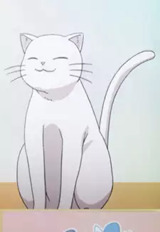 Hikari