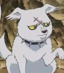 Yasha-Ichi